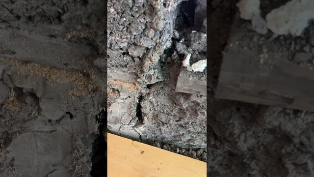 треснул дом смотреть онлайн