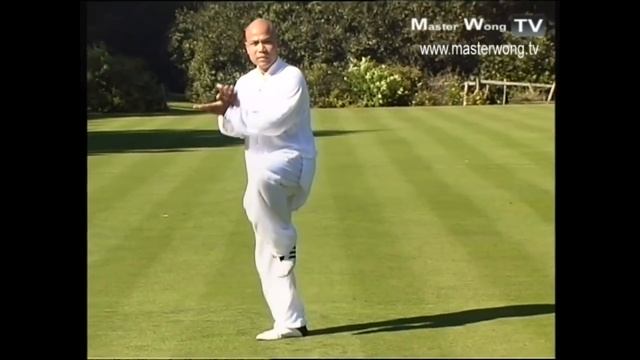 Tai chi chuan for beginners - Taiji Yang Style form Lesson 5 смотреть онлайн