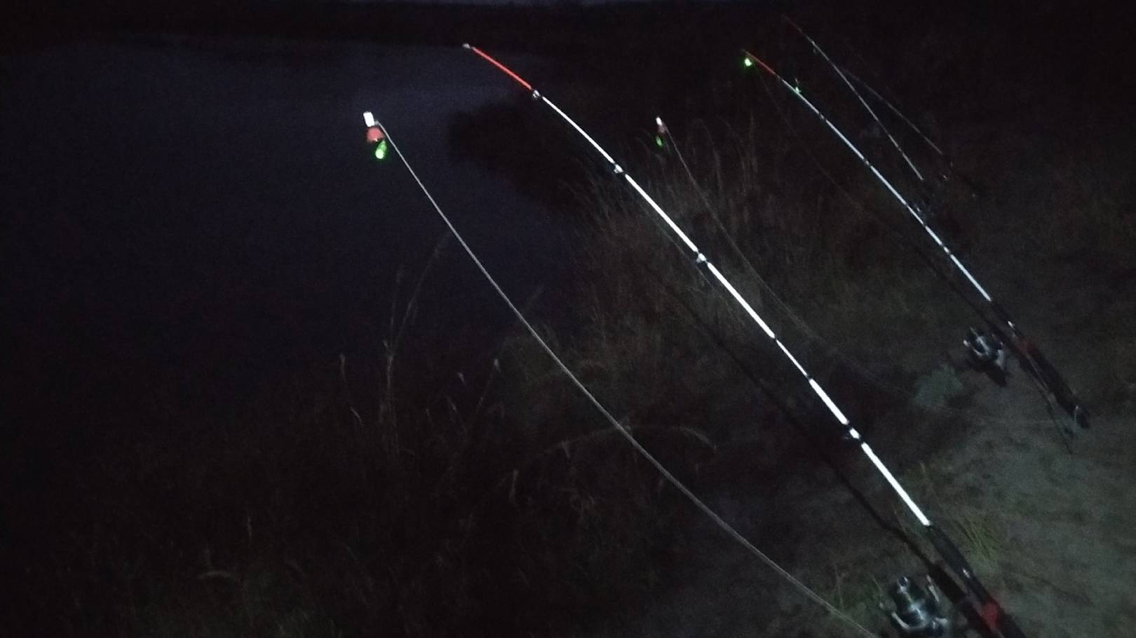 Рыбалка на суре 2024 ноябрь