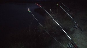 Рыбалка на суре 2024 ноябрь