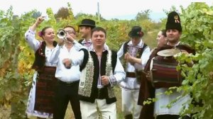 Коллаж де нунта 🎶🎷🪗🥁🎺🎻