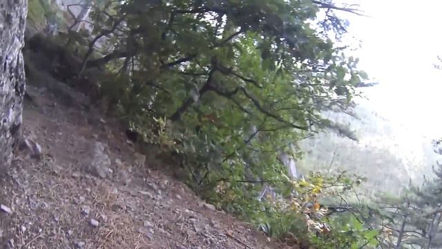 Боткинская тропа в Ялте Крым смотреть онлайн