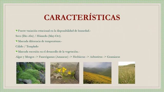 Informe ambiental UCV Derecho Ambiental смотреть онлайн