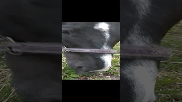 VID_20200426_171000 смотреть онлайн