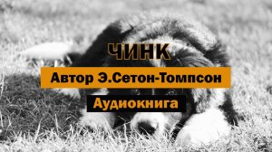 Чинк Э.Сетон-Томпсон Аудиокнига #аудиокнига #собака #щенок #детям #животные #бесплатно #слушать