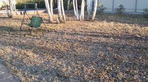 Строим вместе, беседка в лесной зоне на плите, из газобетона