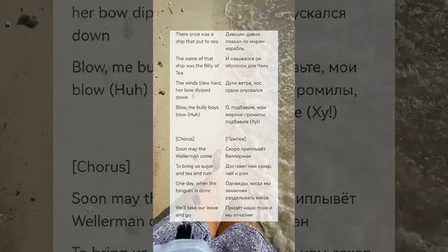 🎵 Nathan Evans - Wellerman смотреть онлайн