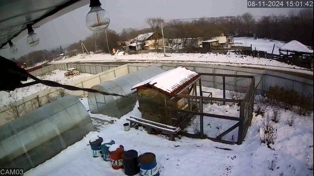 20241108_1 смотреть онлайн
