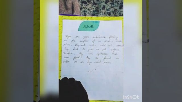 Assignment on Microorganisms for class 8th смотреть онлайн