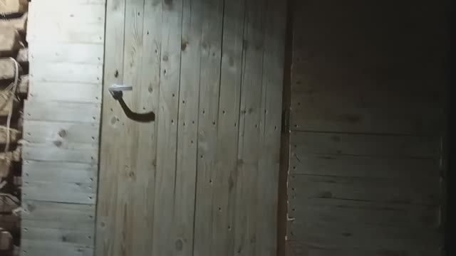 Изготовление и установка входной двери в предбанник. смотреть онлайн
