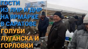 🔥Гости из ДНР и ЛНР на ярмарке голубей в Саратове. Голуби Горловки и Луганска. Николаевские голуби.