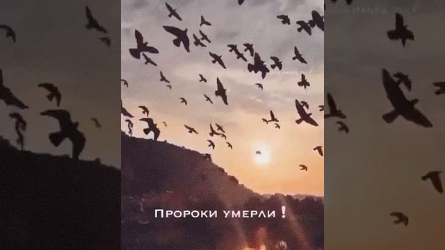 Напоминание верующими ☘🍃 смотреть онлайн