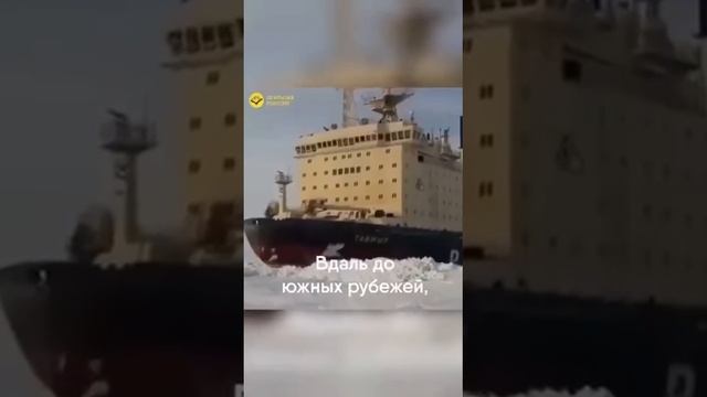 8. Русский язык в Украине доступен каждому! Нет никаких угроз! смотреть онлайн