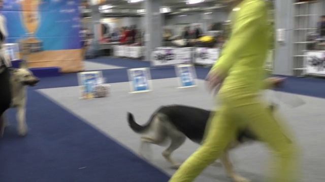 Класс рабочий