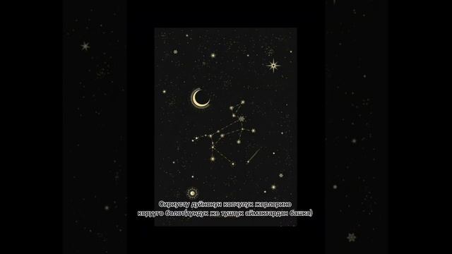 Сириус: Ит жылдызы смотреть онлайн