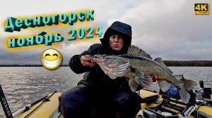 Пелагический судак в ноябре 2024. Рыбалка с Garmin Panoptix Livescope
