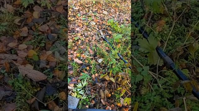 Обломался с сигналом😅 смотреть онлайн