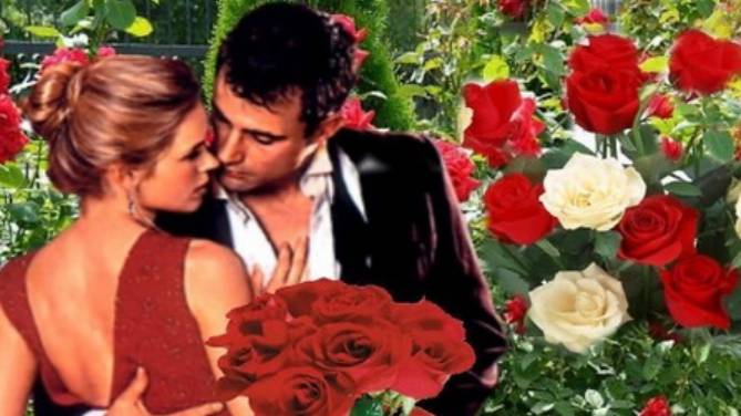 Альбом "Цветами путь твой устилаю" (видео) смотреть онлайн