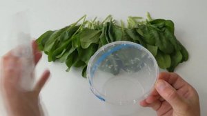 ШПИНАТ будет ВСЕГДА свежим!  5 СПОСОБОВ ХРАНЕНИЯ ШПИНАТА в холодильнике/Как хранить ЗЕЛЕНЬ