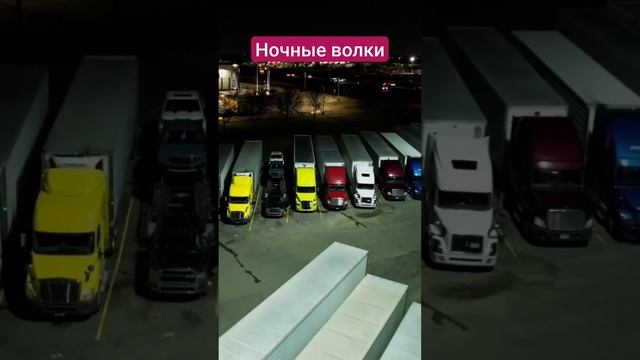 Ночные волки Америки смотреть онлайн