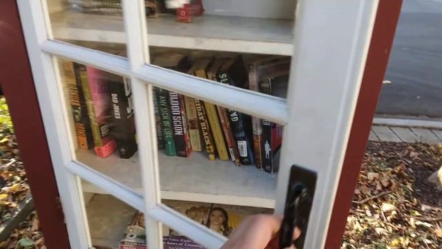 Прогулки по Чикаго. Книжный домик на Newgard ave. 22 ноября 2022. смотреть онлайн