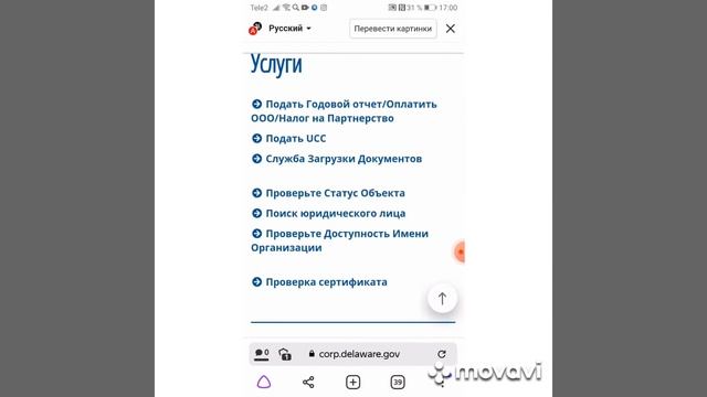 Бифри не пирамида! #бизнесонлайн #удаленка #бифри #удаленнаяработа #заработоквинтернете смотреть онлайн