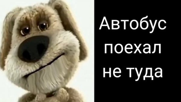 История "Rainbow Friends"