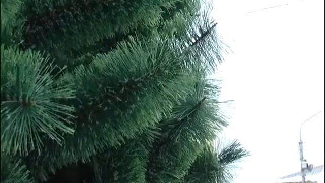 Главную новогоднюю красавицу Димитровграда установили накануне на Площади Советов смотреть онлайн