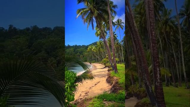 острова Тайланда #Вот Так и Точка #воттакиточка #vottakitochka смотреть онлайн