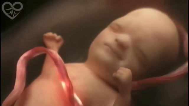 Embryo evolution смотреть онлайн