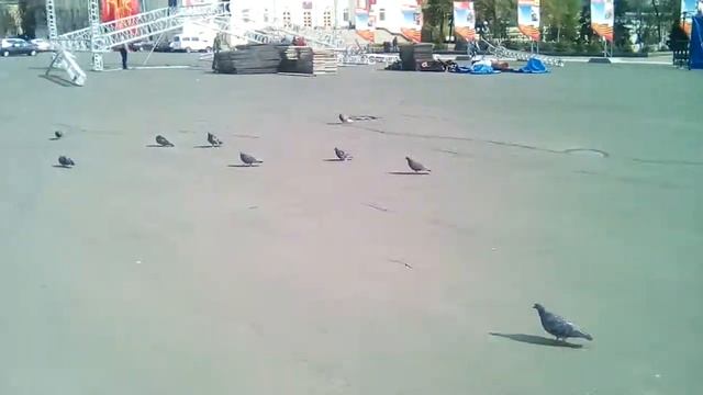 Советская площадь. 1. смотреть онлайн