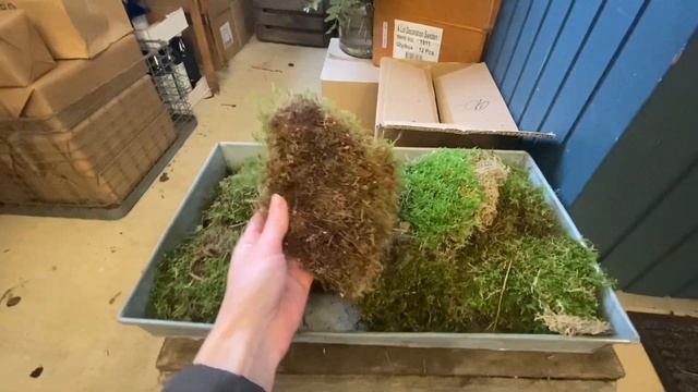 Прогулка по магазину цветов, в зимнем Стокгольме. Скандинавский декор! смотреть онлайн