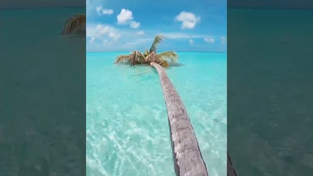 Самые красивые места Тайланда. #Вот Так и Точка #воттакиточка #vottakitochka смотреть онлайн