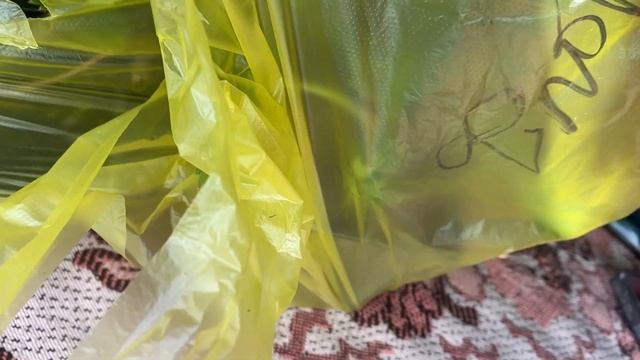 ХОЗБЛОК. ПРИВЕЗЛИ ЧЕРНОЗЕМ. СПАНБОНД. ВЫСАДКА КЛУБНИКИ смотреть онлайн