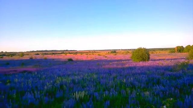 4 июля 2015 г Наедине с природой за 12 секунд смотреть онлайн