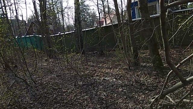 VID_20200502_163015 смотреть онлайн