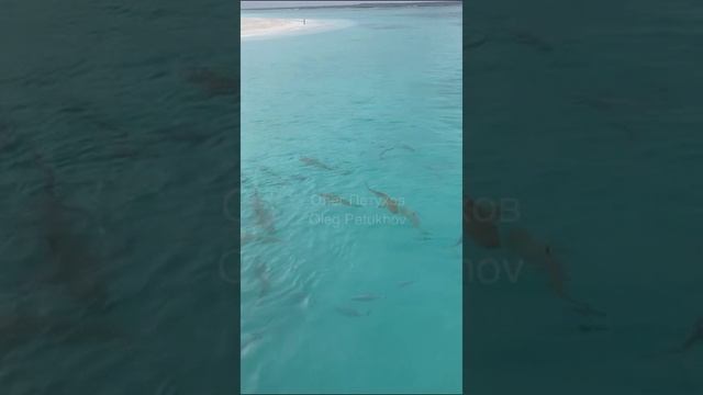 Мальдивы. Maldives. 马尔代夫。 смотреть онлайн