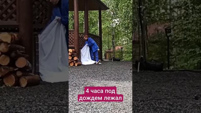 Тяжелые будни маньяка. Эти кадры длились день. Гринберг ушёл. смотреть онлайн