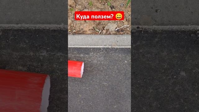 Ползучеие трубы смотреть онлайн