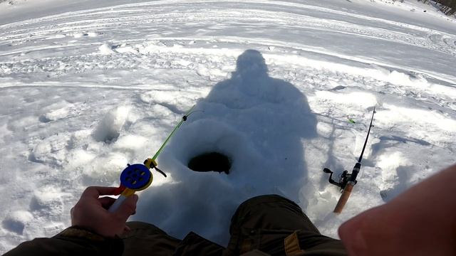 РЕКА СУЛА И РЕКА ЩУЧЬЯ РЫБАЛКА НА ХАРИУСА смотреть онлайн