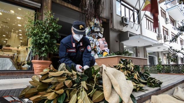 XXIX Anniversario di Capaci. L’Arma dei Carabinieri rende omaggio a Giovanni Falcone смотреть онлайн