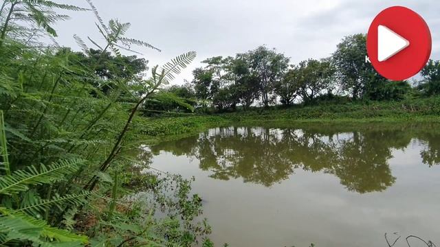 ប្លង់អេម смотреть онлайн