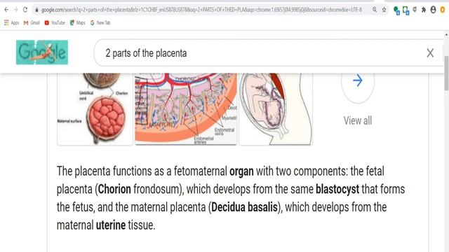 PT-1; PLACENTA: Lost meaning of crescent and star symbolism смотреть онлайн