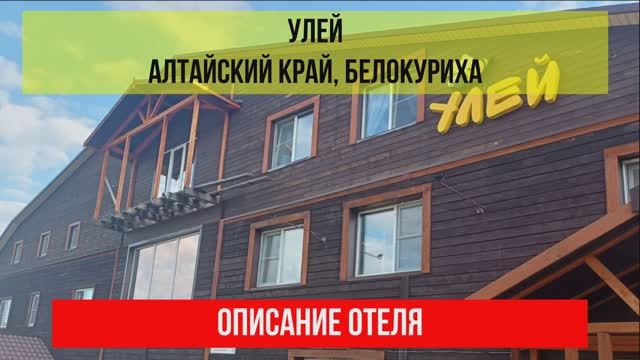 ГОСТИНИЦА УЛЕЙ в Белокурихе, Алтайский край, описание отеля смотреть онлайн