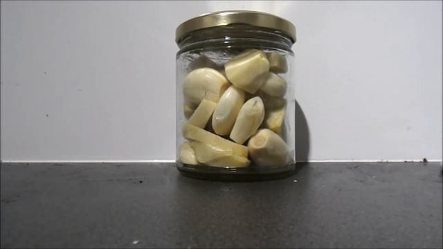 Garlic and Ginger paste ferment time lapse смотреть онлайн