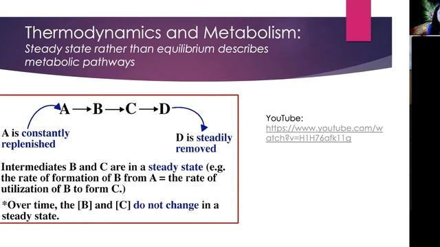 Introduction to Metabolism смотреть онлайн