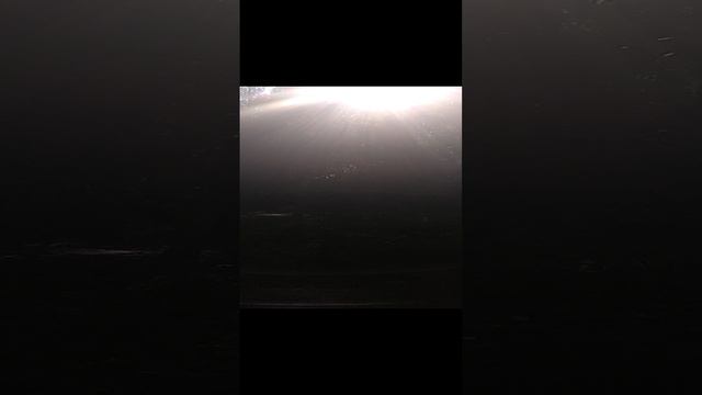 VID_20200904_132755 смотреть онлайн