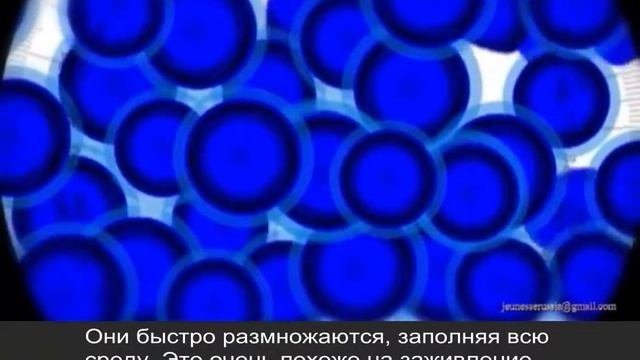 Прорыв в борьбе со старением! смотреть онлайн