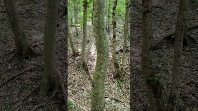 Рука Свободы на горе Безумная #кабардинка смотреть онлайн