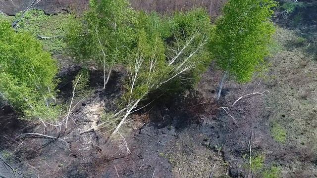 Беспилотники нашли торфяной пожар смотреть онлайн